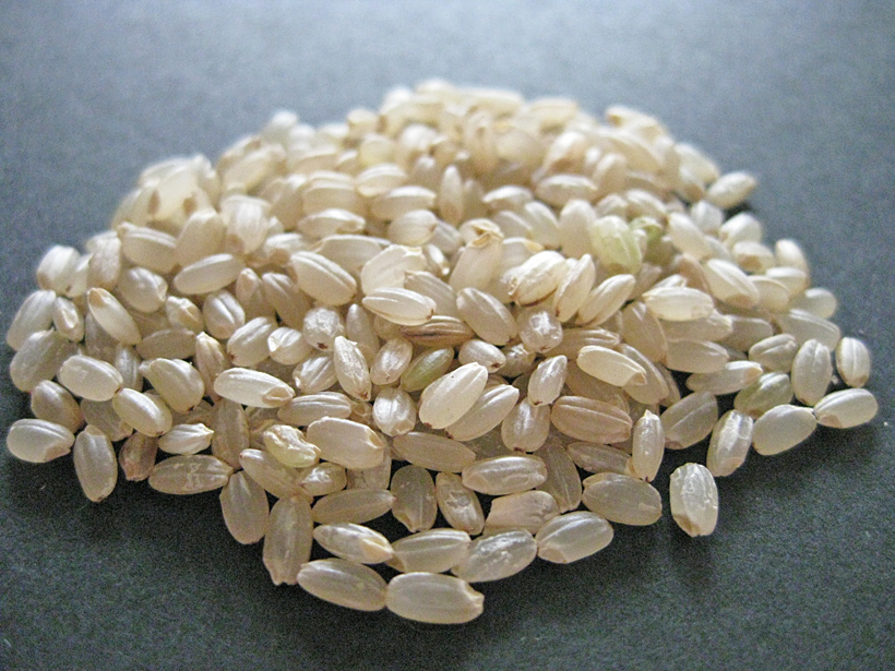 『Q＆A』-自然栽培米ミナミニシキ-