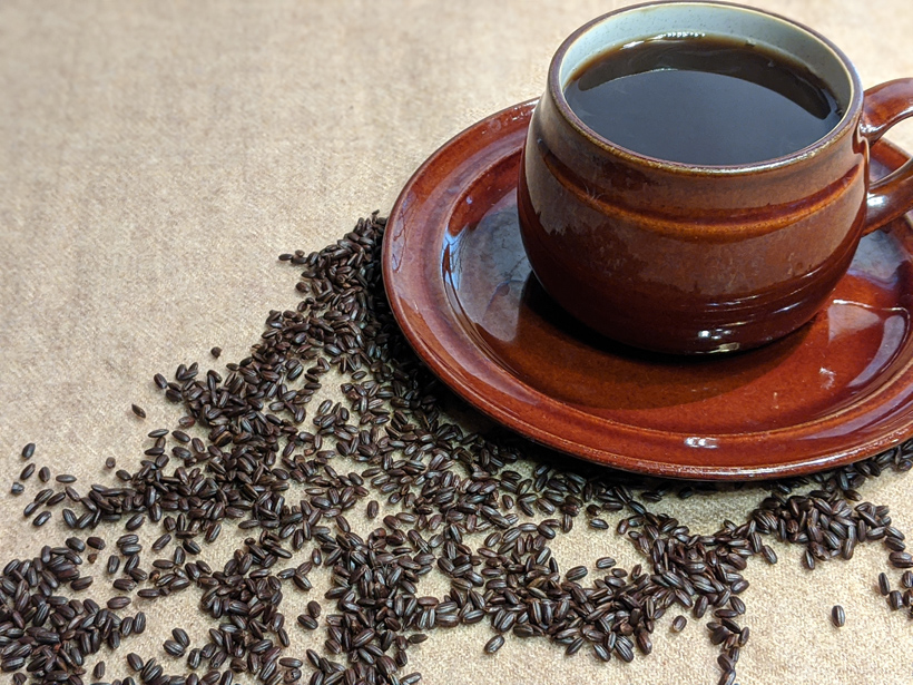 無農薬玄米のミナミニシキからできたコーヒーが体に良い理由