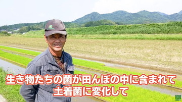 自然栽培米ミナミニシキ動画