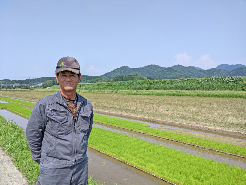 前田自然栽培米ミナミニシキの苗床