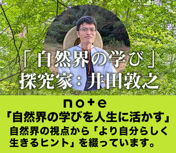 note井田